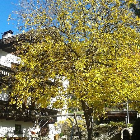 브레싸노네 Huberhof 아파트 외부 사진
